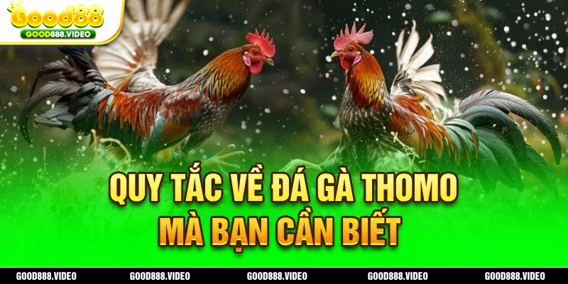 Quy định về đá gà Good88 Thomo