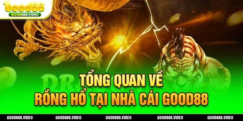 Tổng quan về rồng hổ Good88